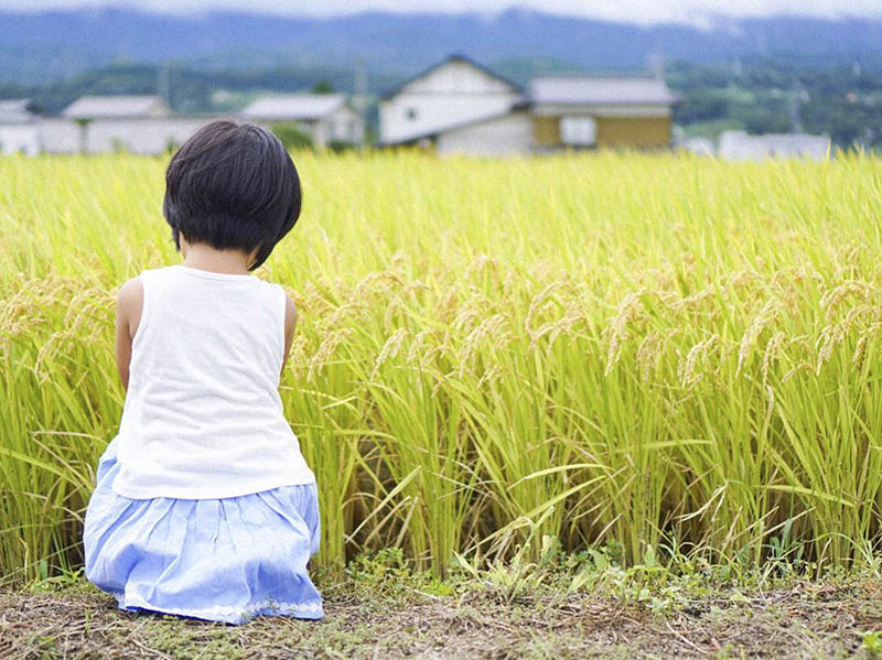纪实儿童写真摄影、日本农村风光图片集图库欣赏，摄影师k_botchan作品