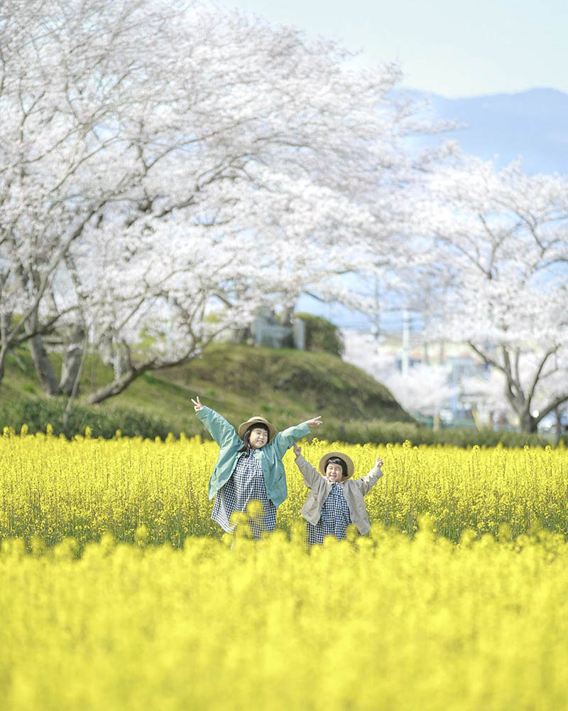 日系纪实姐妹儿童摄影集欣赏，日本家庭摄影师side_colorful作品图片