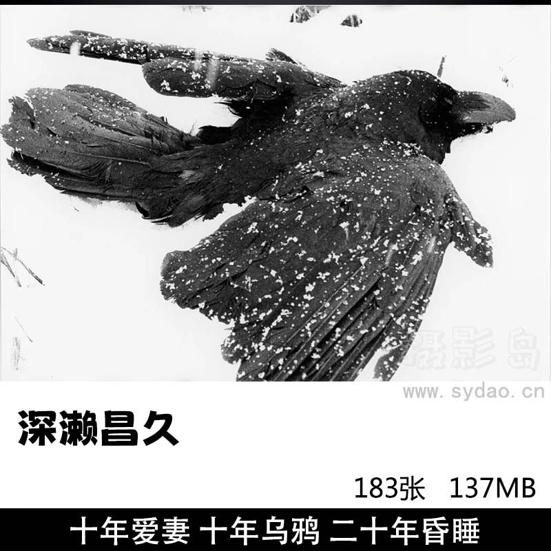 183张日本黑白纪实摄影深濑昌久《洋子》《鸦》《猫》 《BUKUBUKU》摄影作品集完整顺序全集参考素材