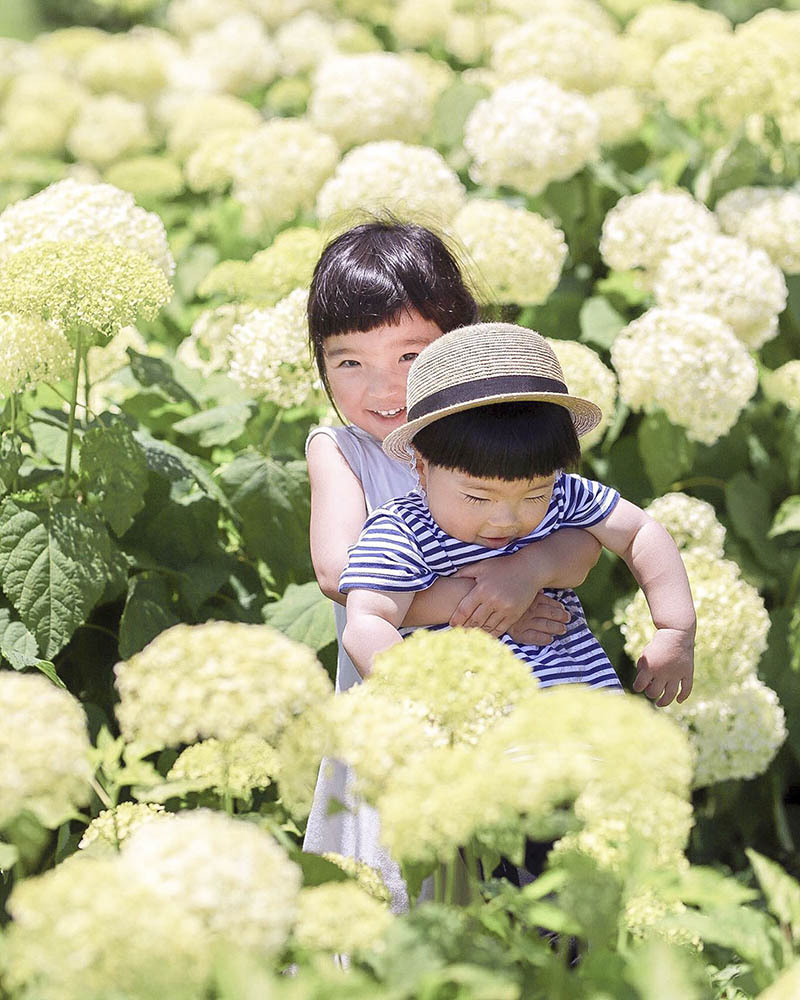 日系纪实家庭亲子儿童合照摄影作品集欣赏，日本摄影师hiraco作品审美提升图片