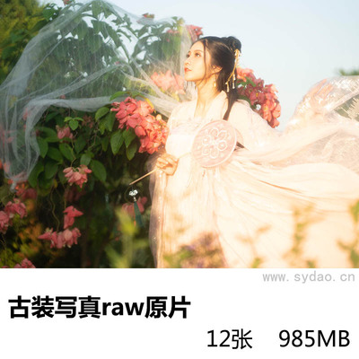 12张古装头纱古风美女写真raw未修原片，相机ARW格式原图练习素材
