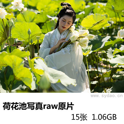 15张荷花池古装汉服美女写真raw未修原片，尼康单反相机NEF格式原图练习素材