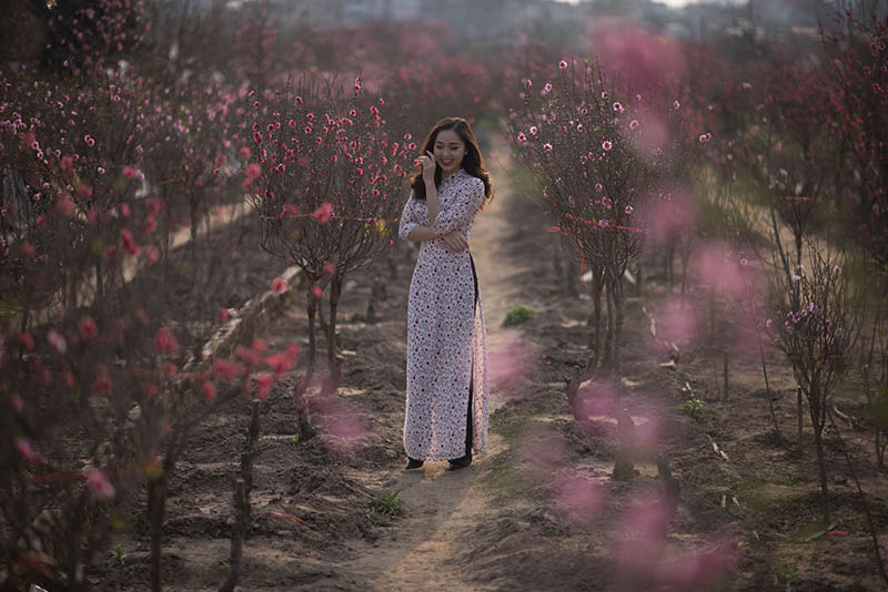 旗袍女孩桃树桃花林写真raw未修原片，尼康单反相机NEF格式原图