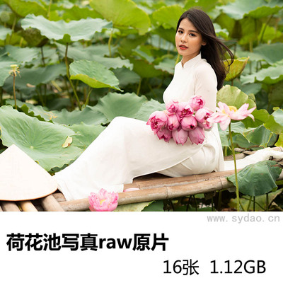 16张荷花池优雅女孩古风写真raw未修原片，尼康单反相机NEF格式原图练习素材