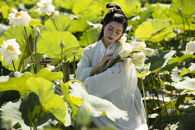 荷花池古装汉服美女写真raw未修原片，尼康单反相机NEF格式原图练习