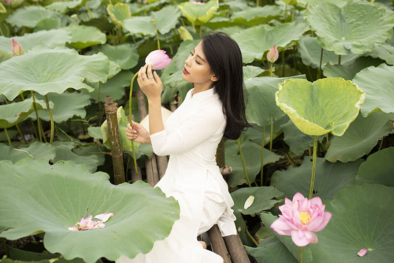 荷花池优雅女孩古风写真raw未修原片，尼康单反相机NEF格式原图