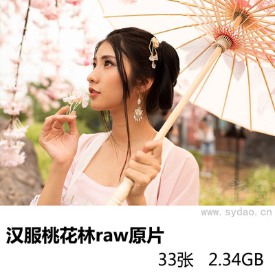 33张气质美女古装汉服桃花林写真raw未修原片，尼康单反相机NEF格式原图练习素材