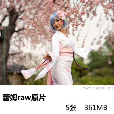 5张cosplay蕾姆可爱美少女写真raw未修原片，尼康单反相机NEF格式摄影后期修图练习素材