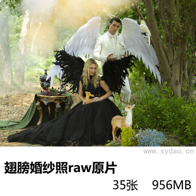 35张国外欧美黑白天使翅膀婚纱照raw未修原片，佳能相机cr2婚纱摄影原图后期修图练习素材