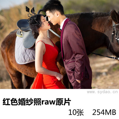 10张外景马场红色婚纱情侣照raw未修原片，佳能相机cr2婚纱旅拍摄影后期修图练习素材