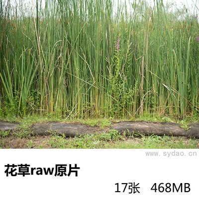 17张春天花草raw未修人像原片，尼康单反相机NEF格式摄影后期修图练习素材