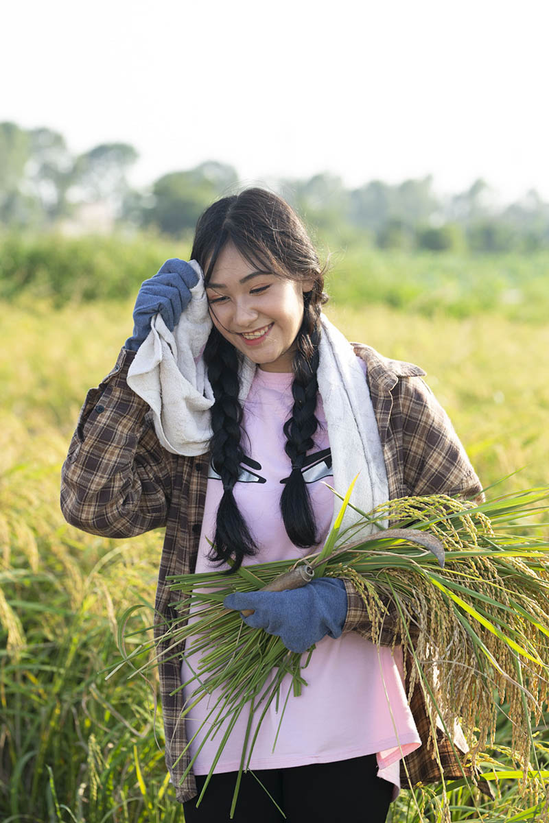 稻田割稻子女孩写真raw未修人像原片