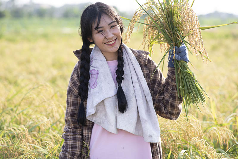 稻田割稻子女孩写真raw未修人像原片