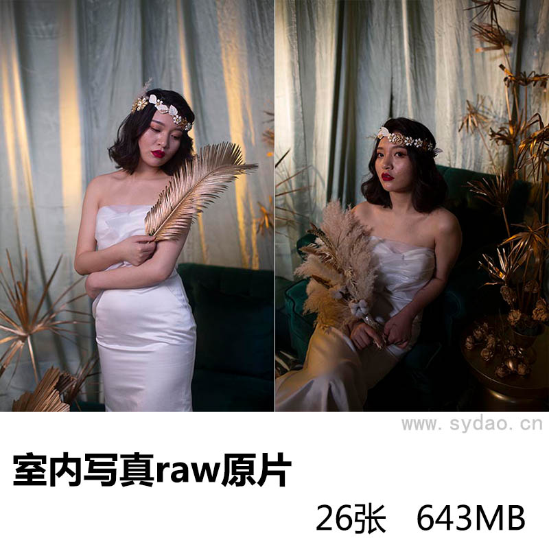 26张希腊女神室内美女写真raw未修原片，佳能相机cr2格式原图练习素材