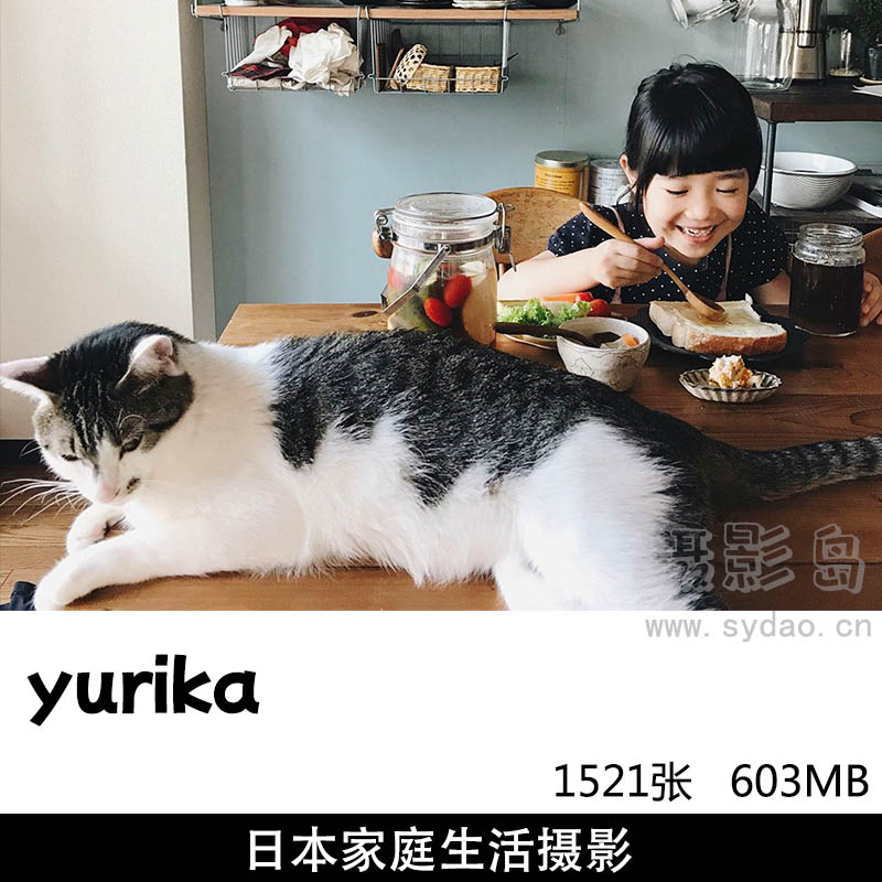 1521张日本纪实家庭生活儿童宠物猫摄影作品集欣赏， ins博主摄影师yurika图片参考审美提升素材