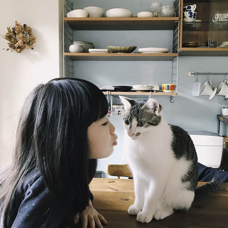 日本纪实家庭生活儿童宠物猫摄影作品集欣赏