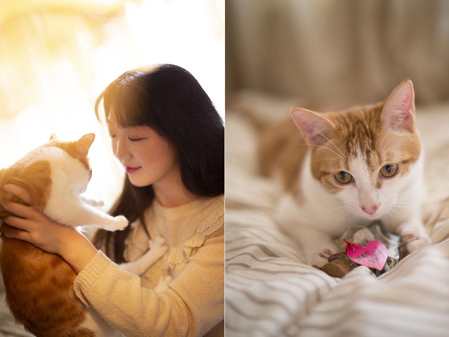 美女和宠物猫室内写真raw未修人像原片