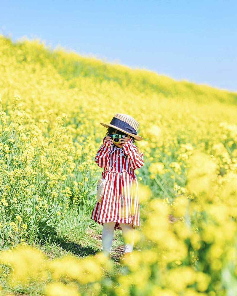 日系唯美树木花草风光外景儿童写真摄影作品图集欣赏