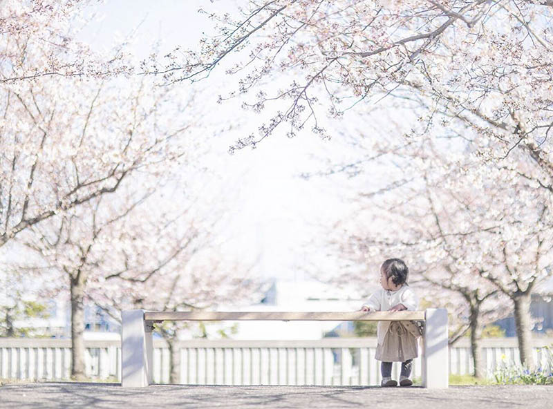 日系唯美树木花草风光外景儿童写真摄影作品图集欣赏