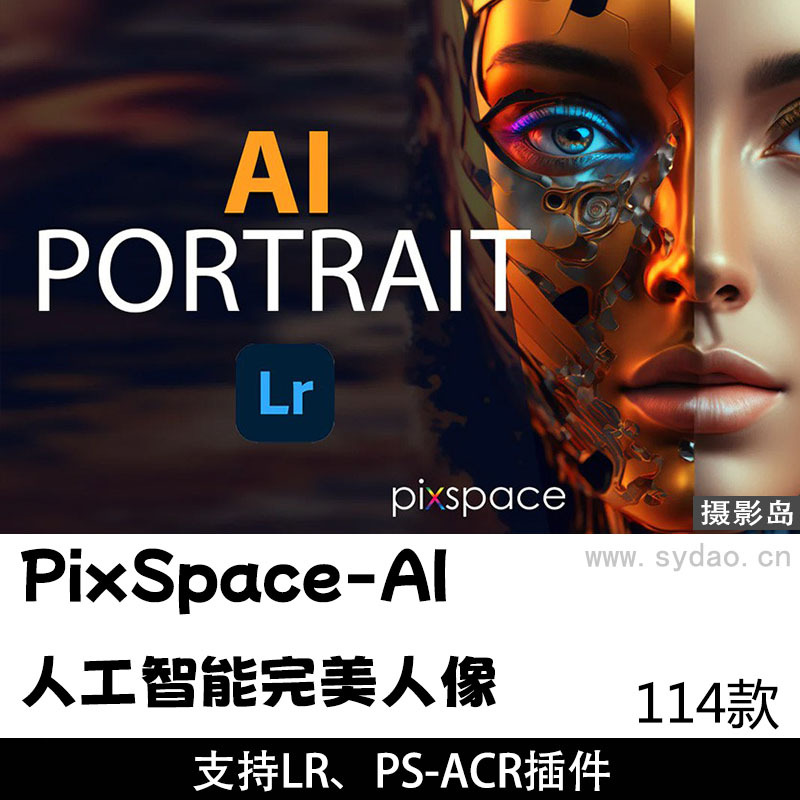 114款PixSpace-AI人工智能修图完美人像中文汉化版LR、ACR预设AI Portrait LR Presets