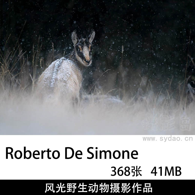 368张野生动物、月亮、风光摄影作品集图库欣赏，摄影师Roberto De Simone作品提升素材