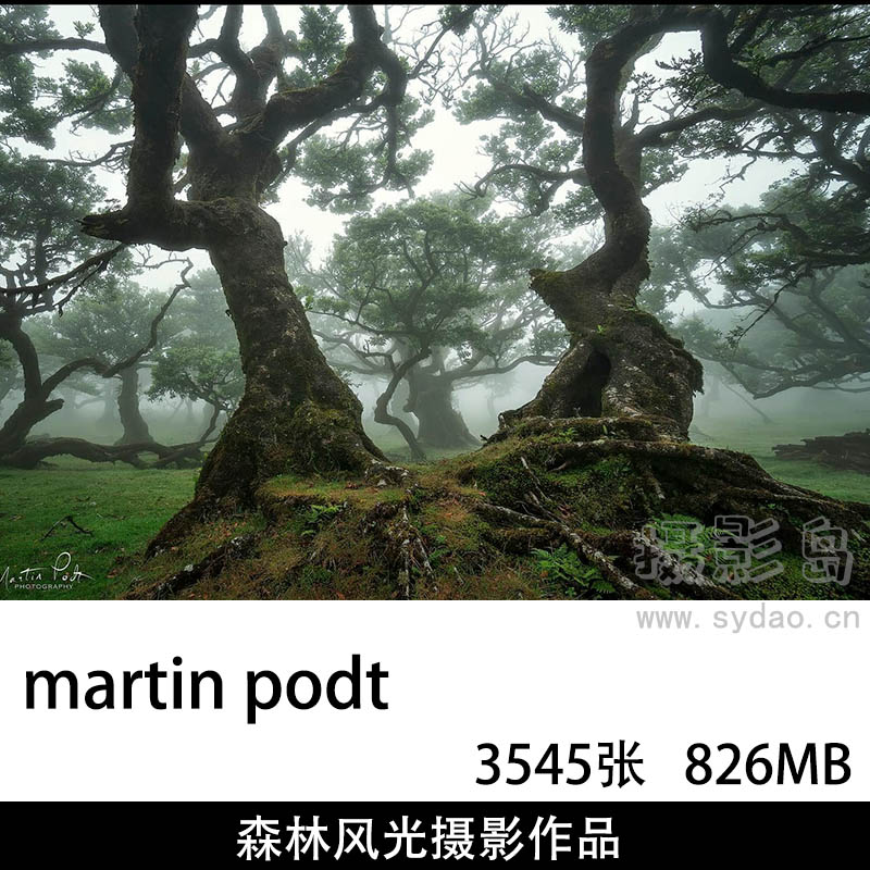 3545张大自然奇幻森林风光摄影作品图片集欣赏，荷兰风光摄影师Martin Podt作品审美提升素材