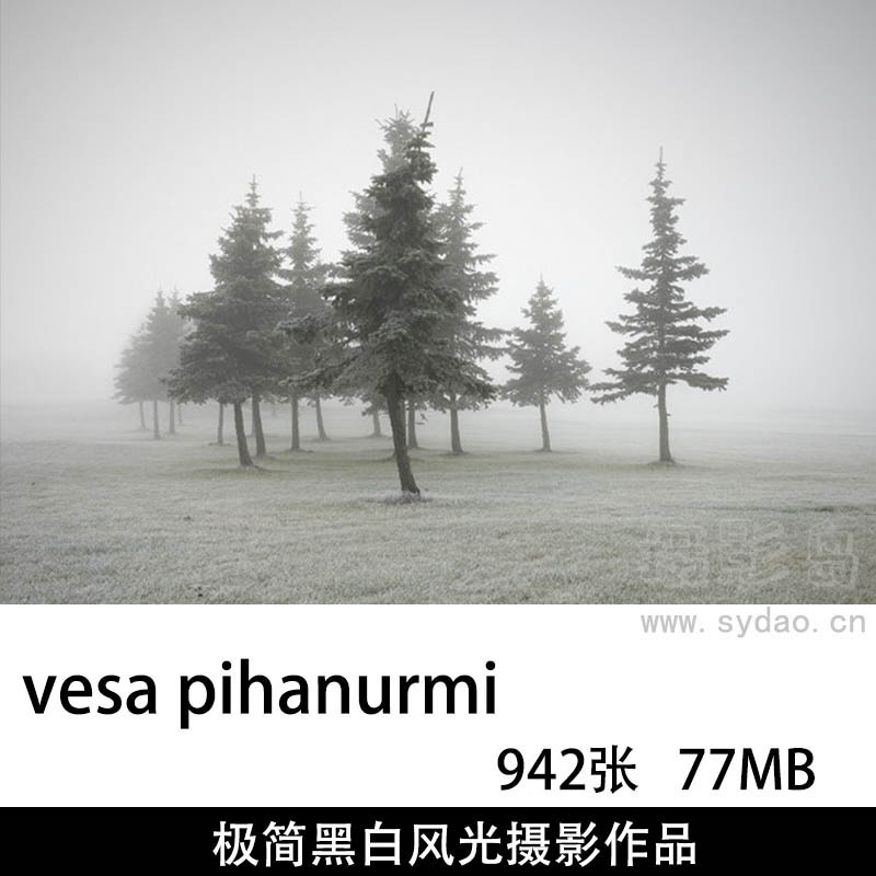 942精彩的极简黑白风光街头摄影作品图片集欣赏，ins摄影师vesa pihanurmi作品审美提升素材