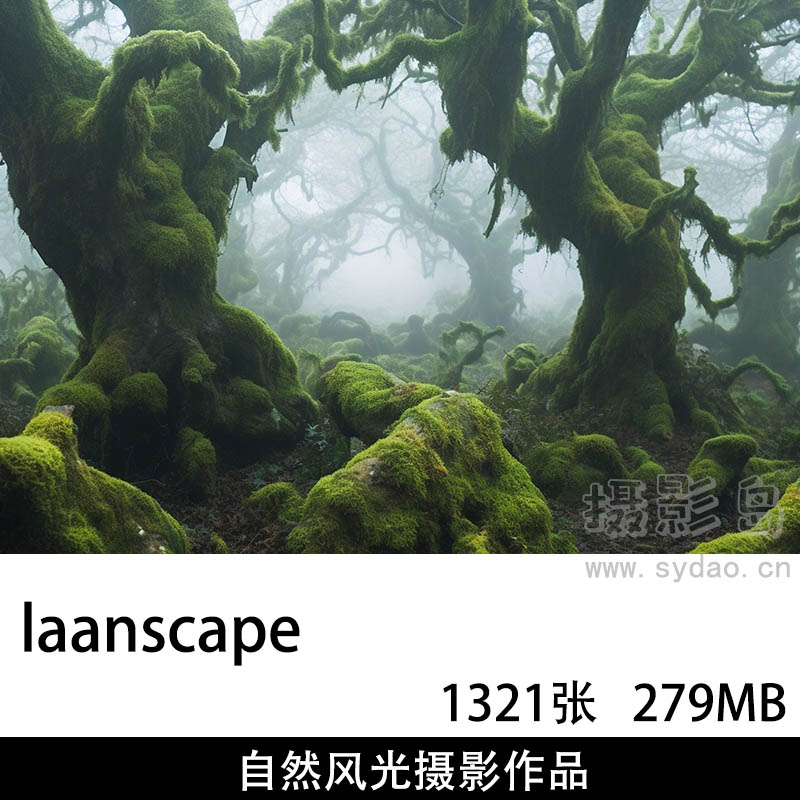 1321张森林河流山脉风光摄影作品图片集欣赏，风光摄影师laanscape作品审美提升素材  