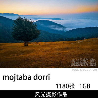 1180张花朵、田园风光摄影作品图片欣赏，ins博主风光摄影师mojtaba dorri审美提升素材