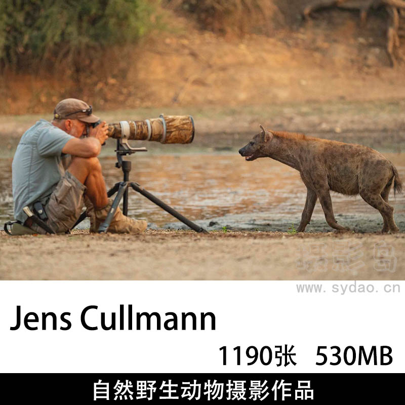 1190张纪实自然野生动物摄影作品图片欣赏，野生动物摄影师Jens Cullmann审美提升素材