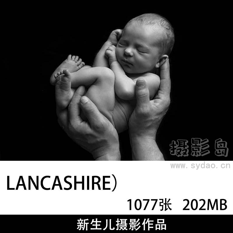 1077张欧美新生儿婴儿宝宝摄影作品图片欣赏，新生儿摄影师LANCASHIRE审美提升素材