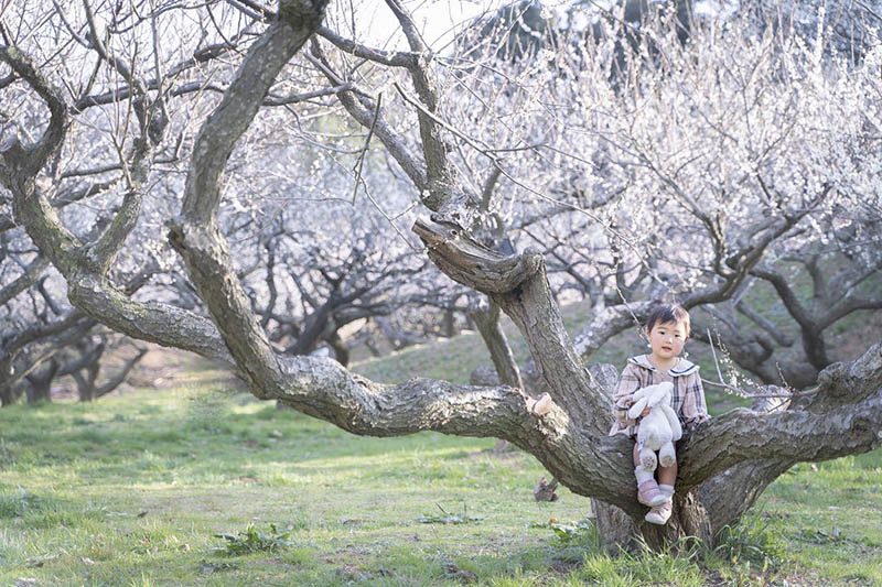 日系纪实儿童家庭亲子摄影写真作品图片欣赏，日本摄影大师marii审美提升素材