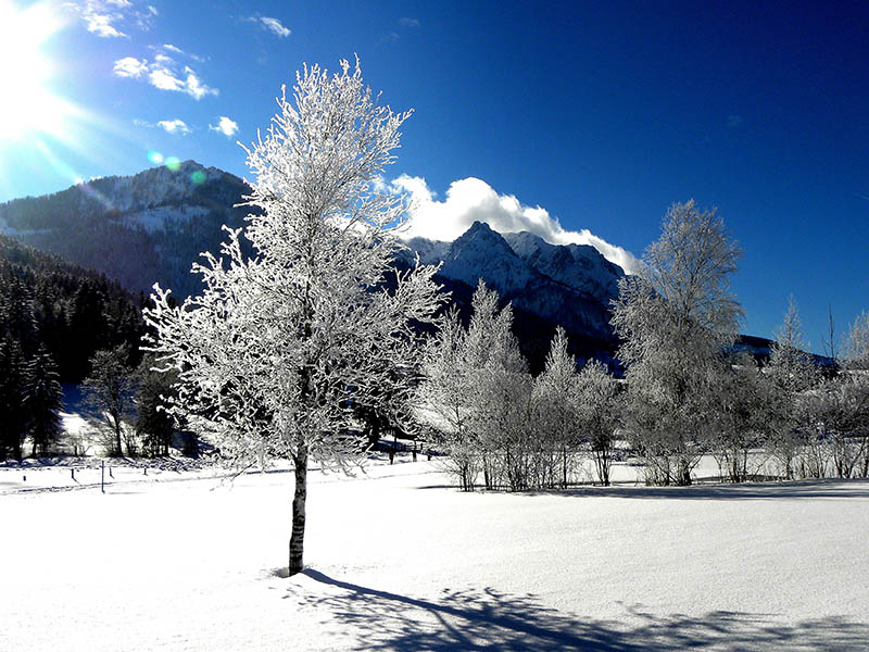 可商用唯美雪山雪景摄影作品图片，国外无版权雪地雪山图片下雪天气美景原图素材图片集素材