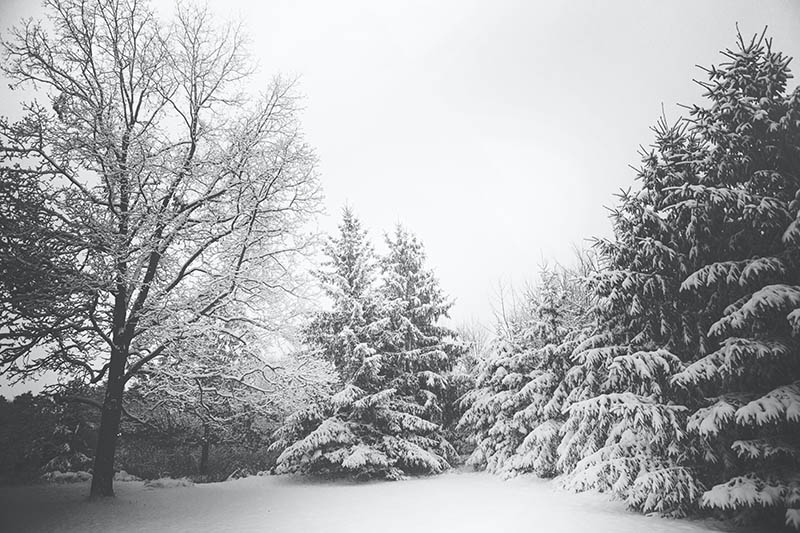 可商用唯美雪山雪景摄影作品图片，国外无版权雪地雪山图片下雪天气美景原图素材图片集素材