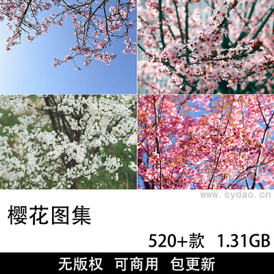528张可商用樱花摄影作品图集，免费无版权唯美冬樱、日本晚樱图片壁纸素材设计师配图素材大全