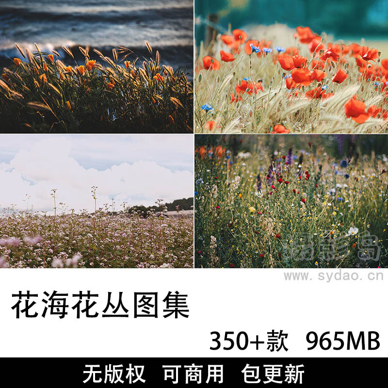 350+张可商用花海花丛摄影作品图集，无版权超高清花海鲜花壁纸图片自媒体设计素材