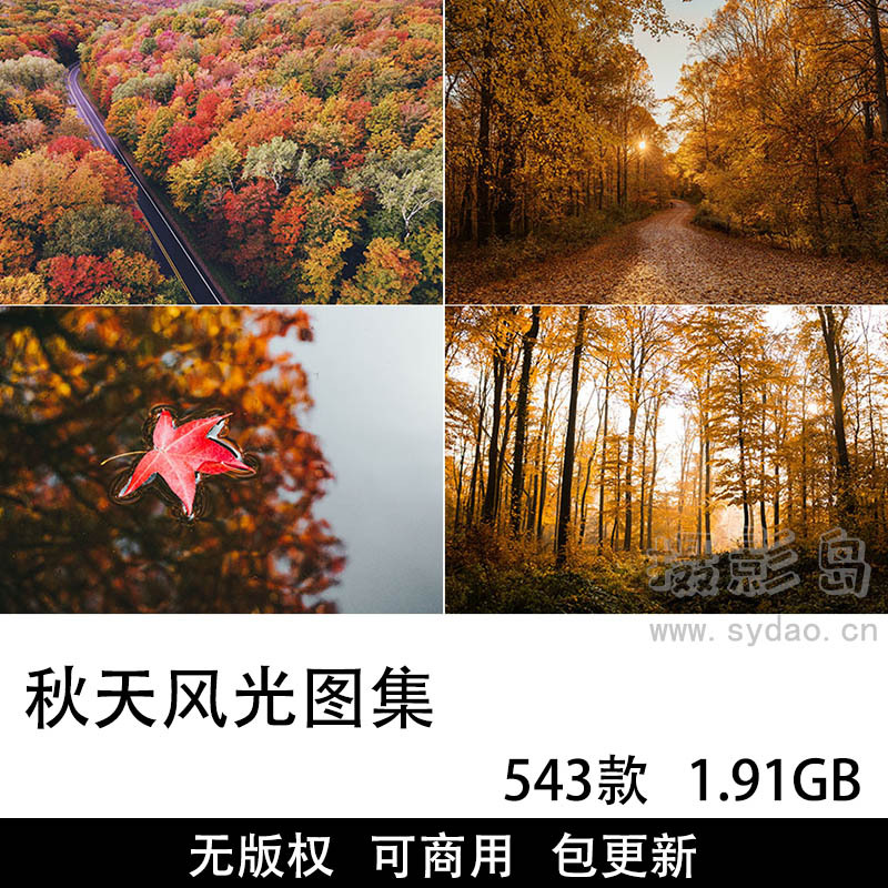 543张可商用秋天风景图集，高清金黄色秋天秋季风光自媒体配图设计无版权图片素材