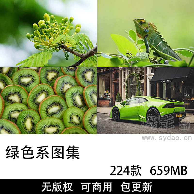224张无版权绿色图片大全合集，高清绿色系列广告海报壁纸背景自媒体设计可商用图片素材图库