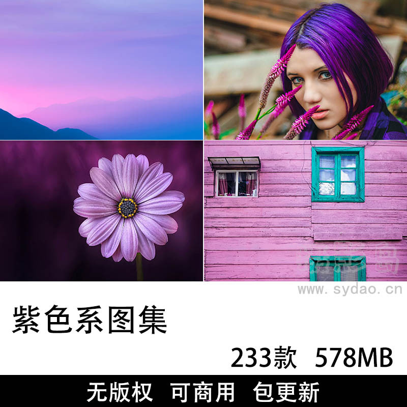 233张可商用紫色系图片大全图库，高清紫色背景摄影壁纸广告海报无版权图片素材图集