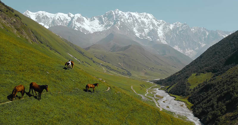 可商用山水风景短视频大全下载，高清治愈美景青山绿水4K自然风光景观无水印无版权视频短片素材合集