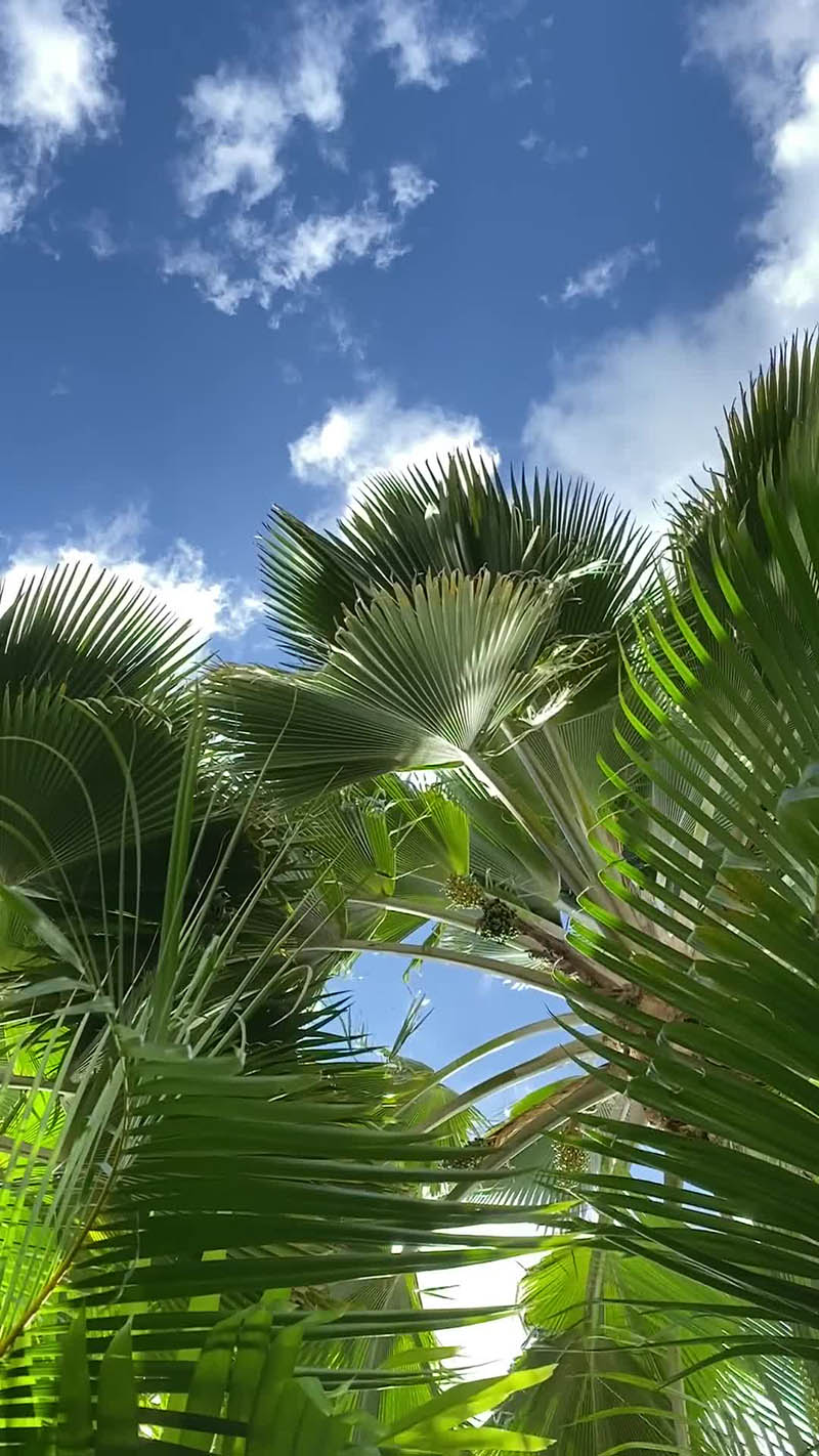 蓝天白云视频大全合集下载，高清自然风景天空云朵抖音快手自媒体无版权短视频素材