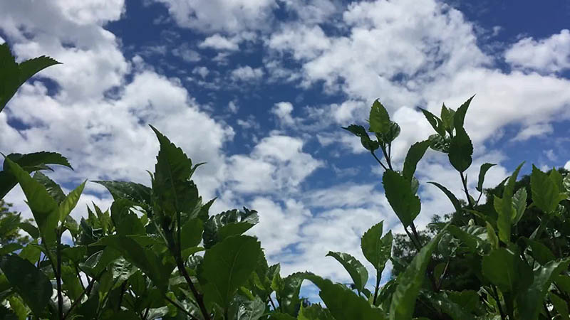 蓝天白云视频大全合集下载，高清自然风景天空云朵抖音快手自媒体无版权短视频素材