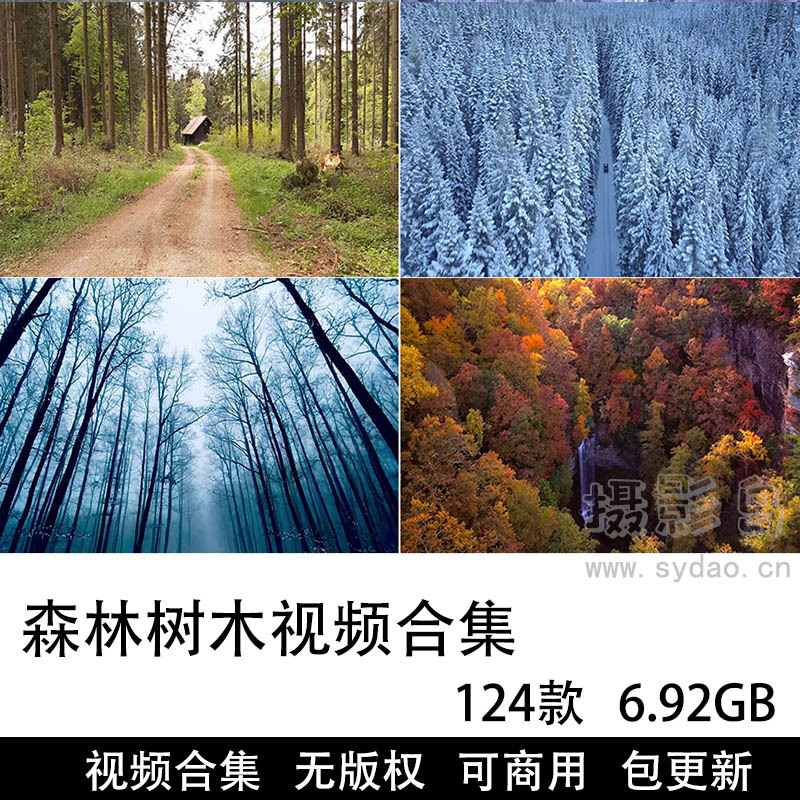 124款可商用森林树木视频大全合集下载，高清实拍原始森林树林树木无版权短视频剪辑素材模板