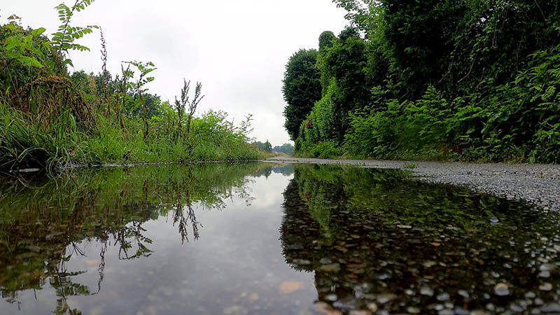 可商用下雨天视频大全合集下载，高清实拍唯美下雨雨滴雨水自然美景无版权短视频素材