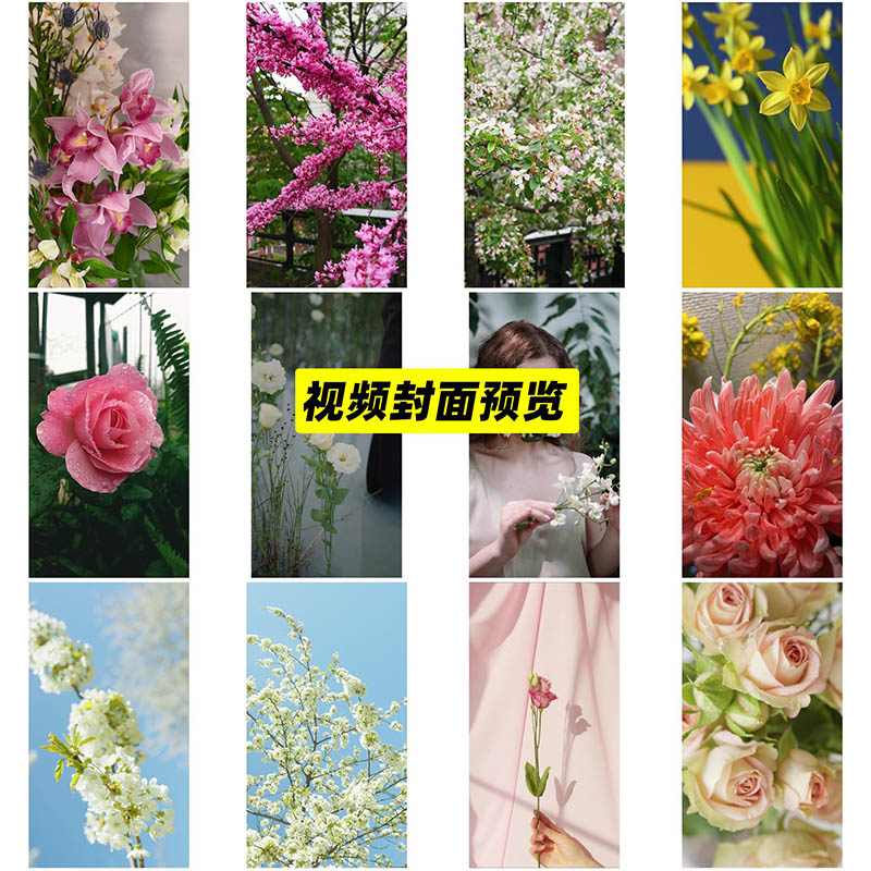 可商用花朵花海视频大全合集下载，高清植物绽放鲜花花束花开无版权短视频素材mp4格式