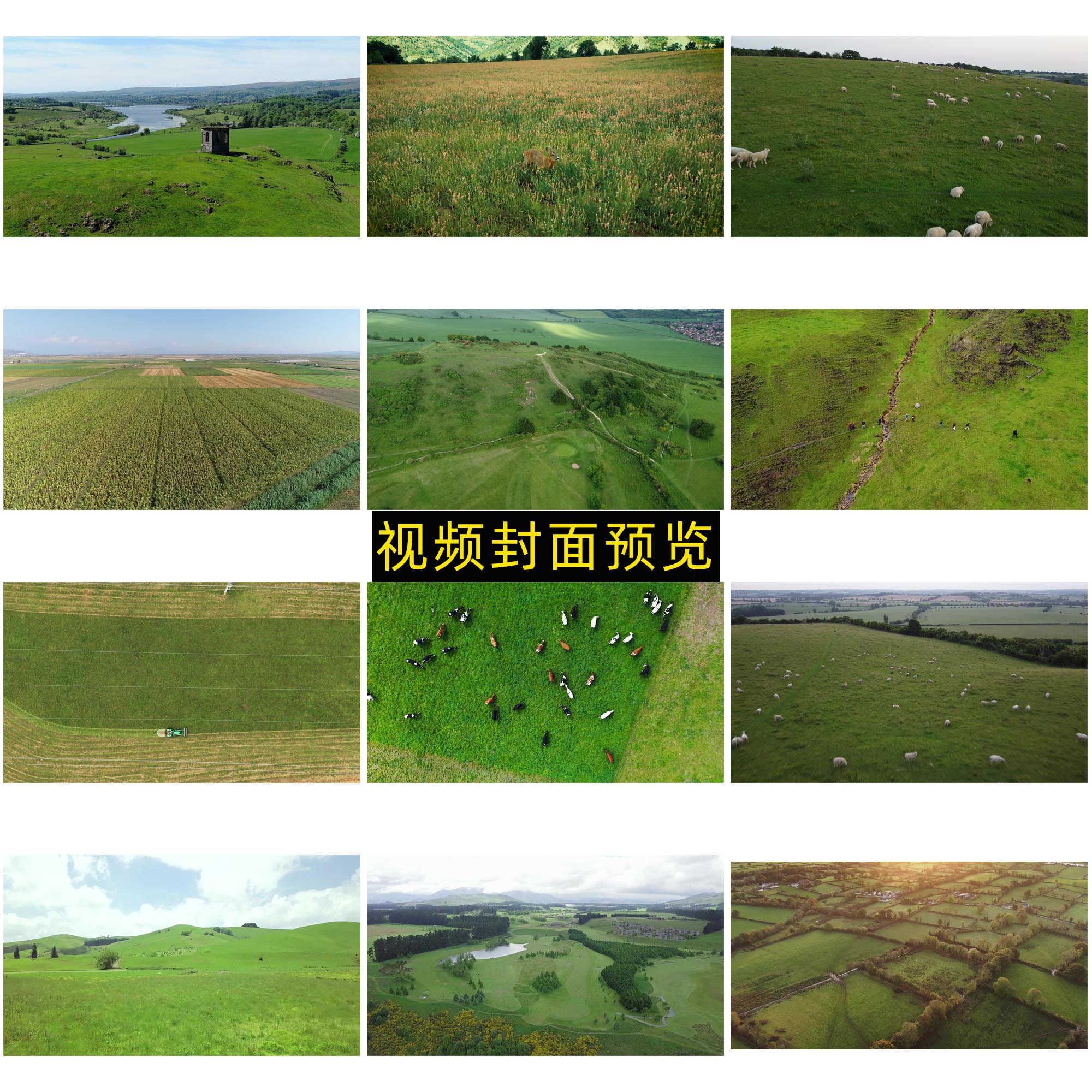 可商用草原视频大全合集下载，高清草地mp4格式抖音快手模板无水印短视频素材