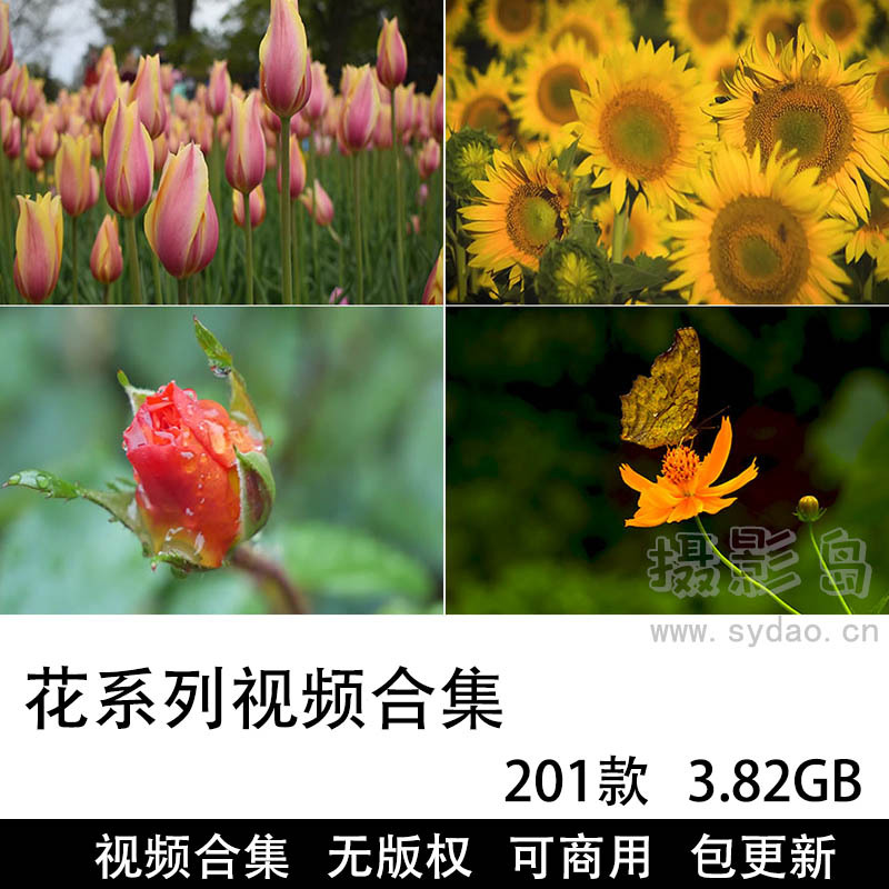 201款可商用花朵花海视频大全合集下载，高清植物绽放鲜花花束花开无版权短视频素材mp4格式
