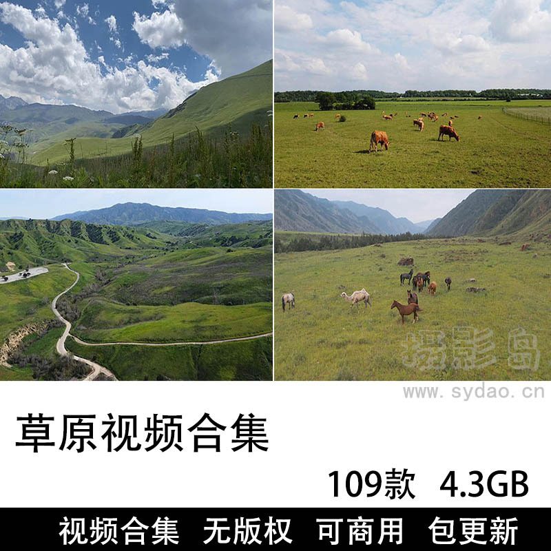 109款可商用草原视频大全合集下载，高清草地mp4格式抖音快手模板无水印短视频素材