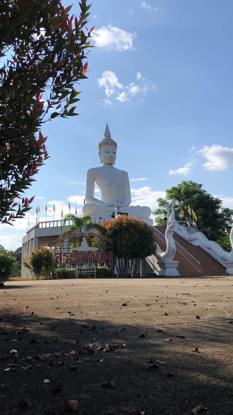 可商用禅意寺庙视频大全合集下载，高清古建筑抖音自媒体剪辑MP4格式无版权短视频