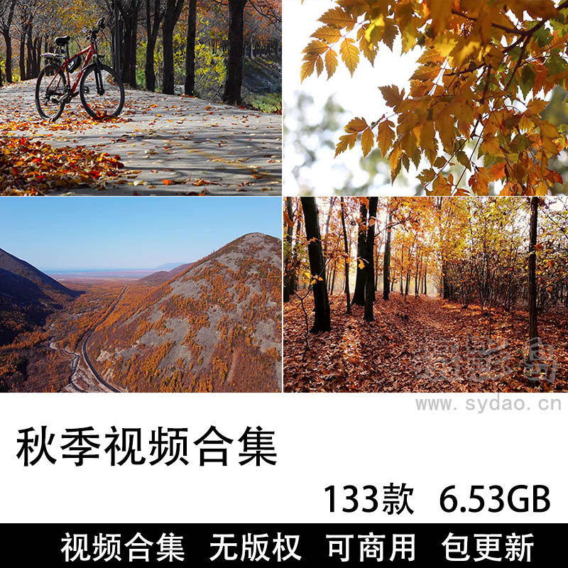 133款可商用秋季视频大全合集素材，高清实拍秋天景色风景落叶金秋抖音剪辑无版权短视频